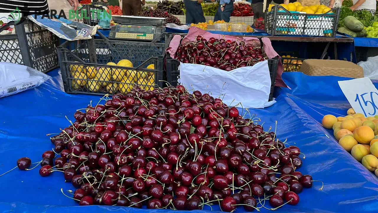 Perşembe Pazarı'nda Kiraz Fiyatları Rekor Kırdı, Vatandaşlar Şaşkın