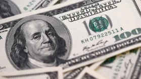 Reel Efektif Döviz Kuru Aralıkta Geriledi