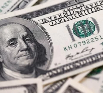 Reel Efektif Döviz Kuru Aralıkta Geriledi