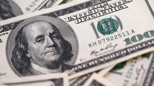 Reel Efektif Döviz Kuru Aralıkta Geriledi