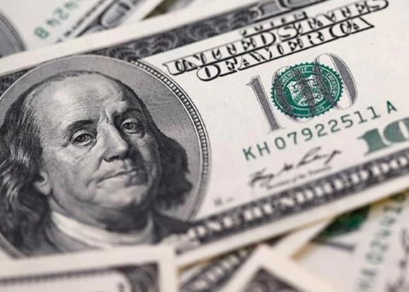 Reel Efektif Döviz Kuru Aralıkta Geriledi